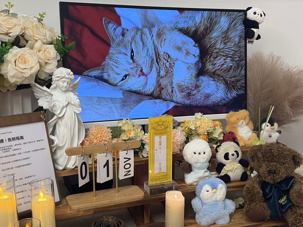 临沂宠物殡葬接宠服务与告别厅